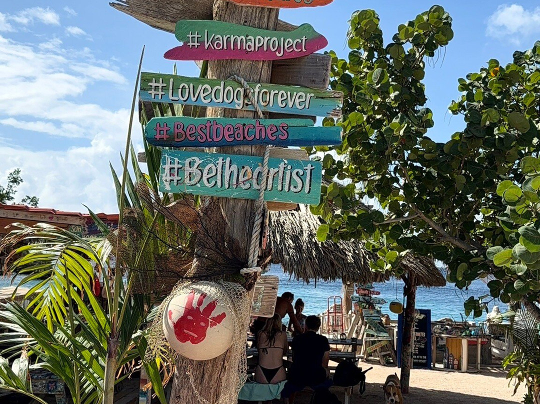 Jan Thiel Diving-威廉斯塔德必去景点