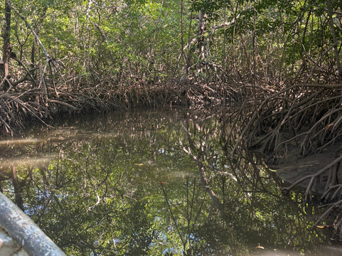 Wild Tamarindo-塔马林多必去景点