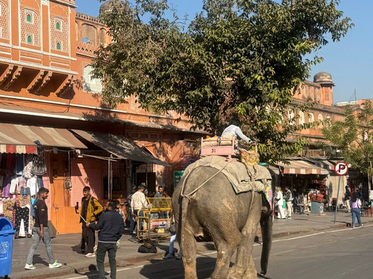 Tours in Rajasthan-新德里必去景点