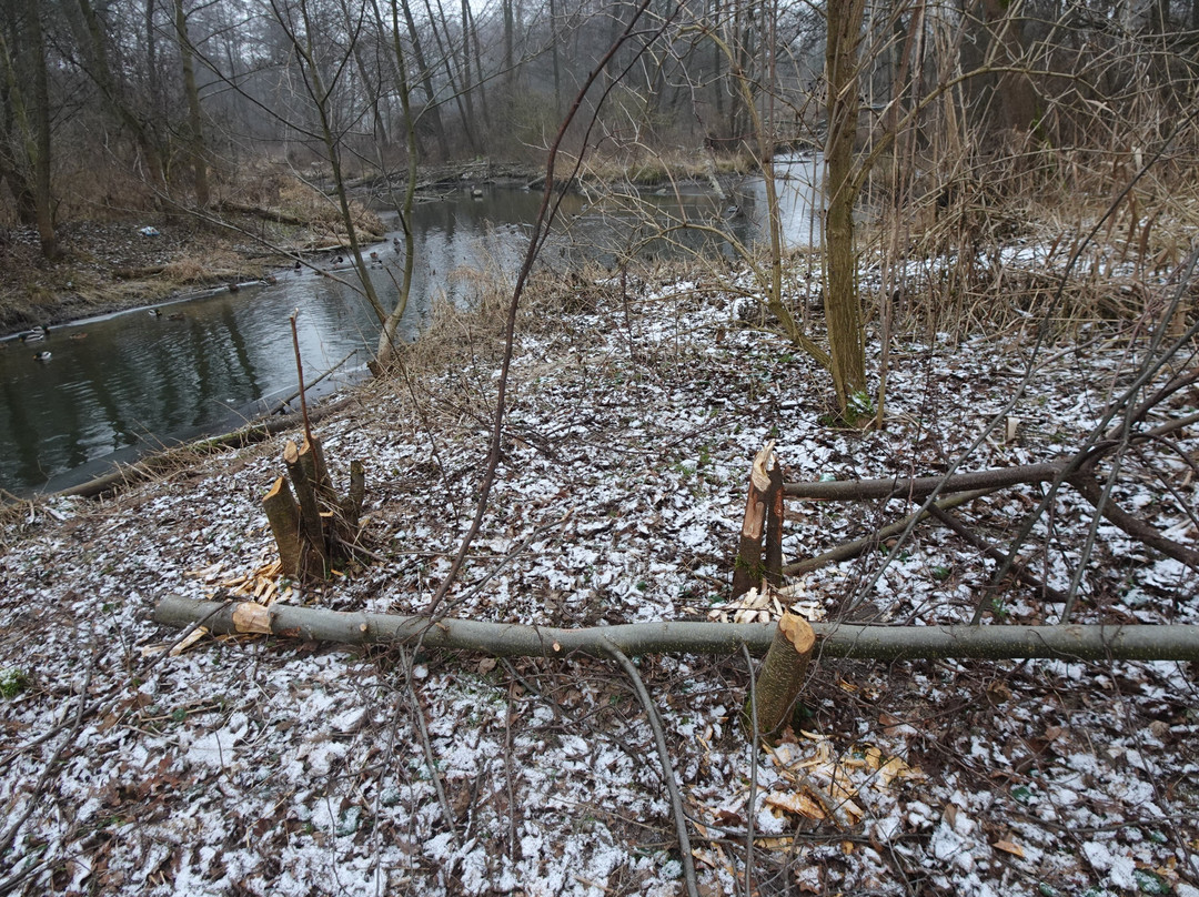 Zadebie Reservoir-Skierniewice必去景点
