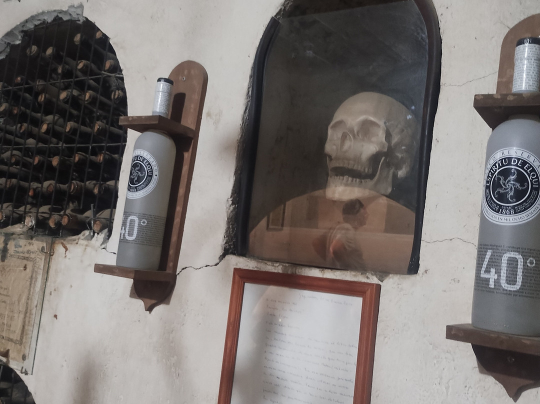 Fundo Los Nichos-Pisco Elqui必去景点