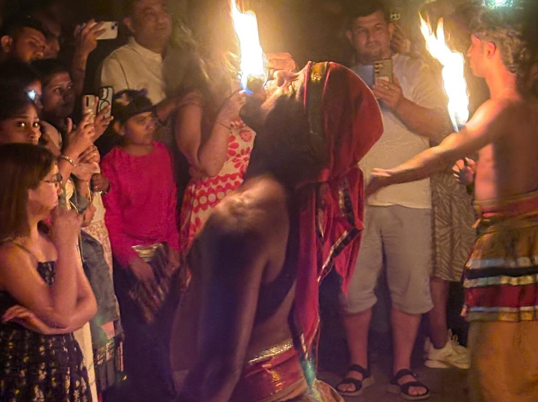 The Visit Lanka Tours-科伦坡必去景点