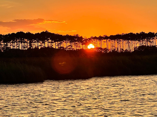 Paradise Dolphin Cruises-Wanchese必去景点