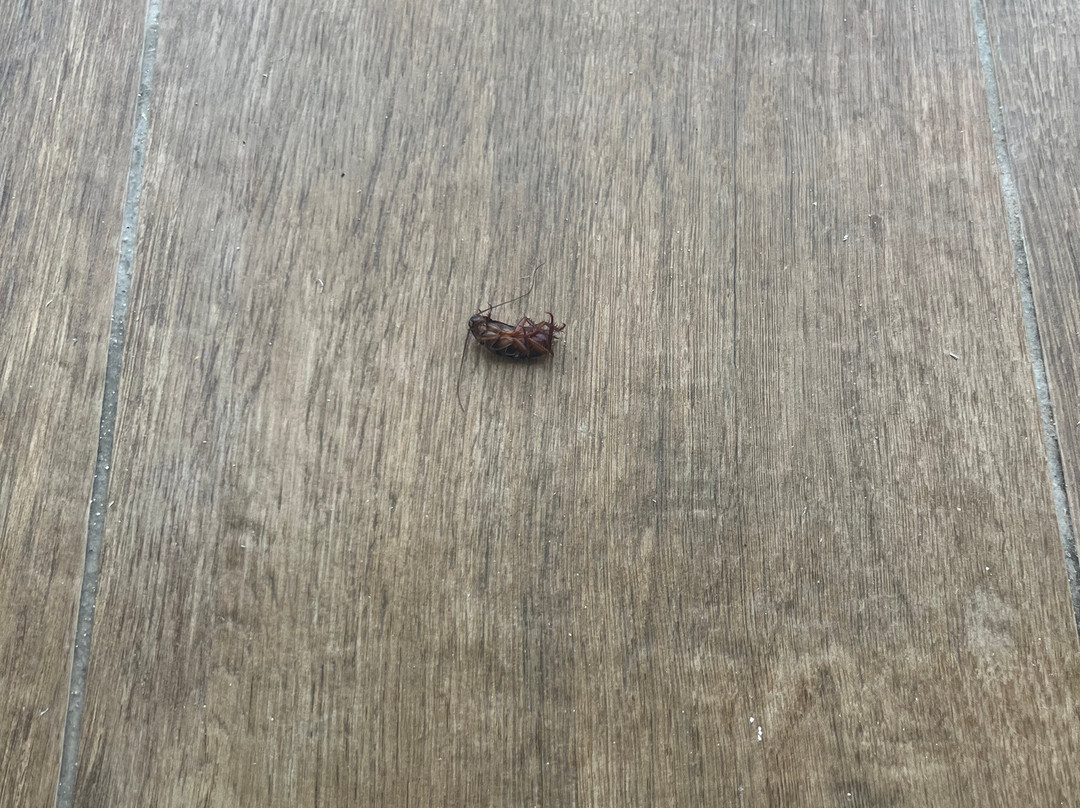 卡拉威岛地中海度假村主图