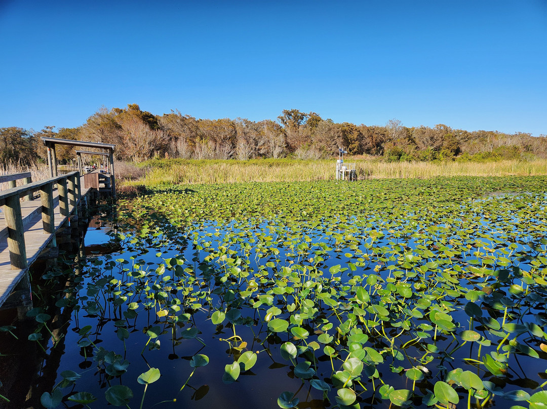 Lake Istokpoga-赛百灵必去景点