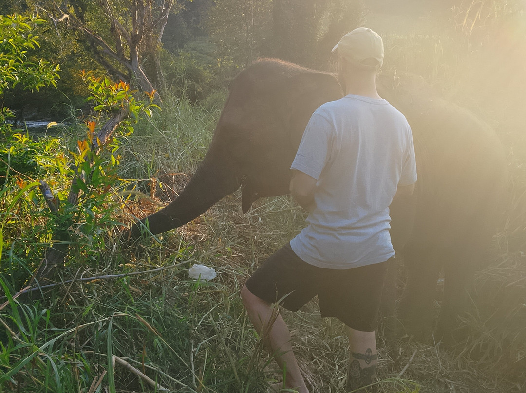 Elephant Sanctuary Care Park-清迈必去景点
