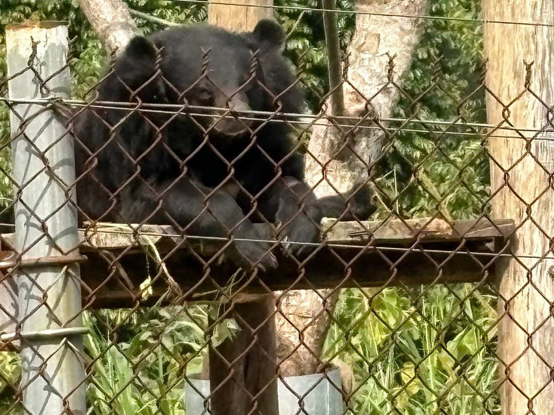 Bear Sanctuary Ninh Binh-宁平必去景点