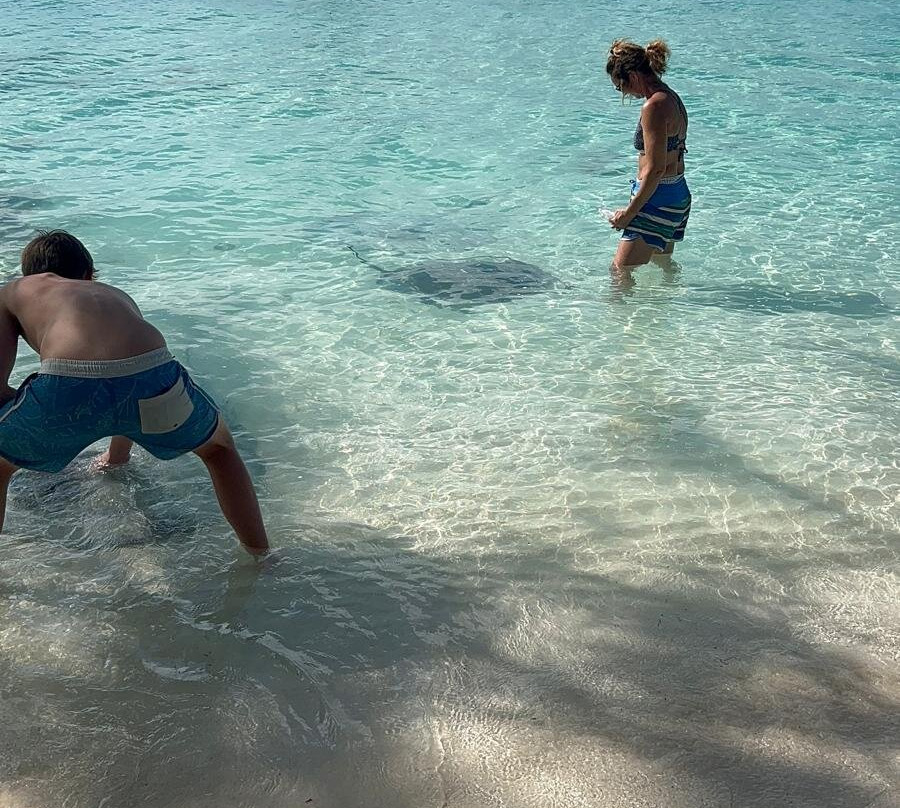 Phoenix Massage & Body Bliss Day Spa & Mobile Services-大埃克苏马必去景点