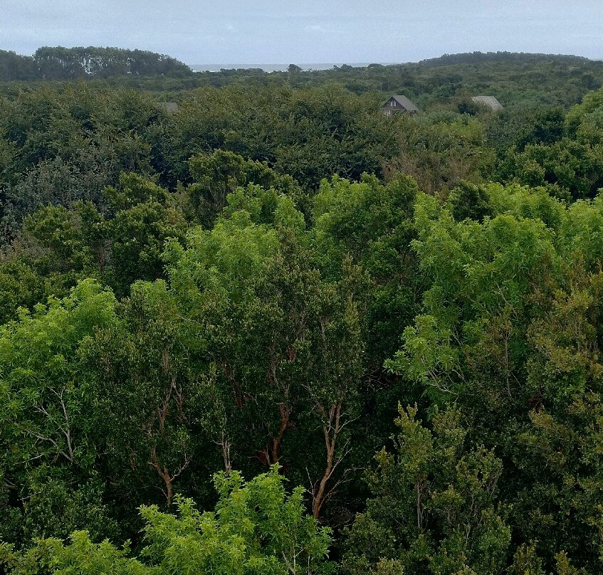 Parque Nacional Chiloé-奇洛埃岛必去景点