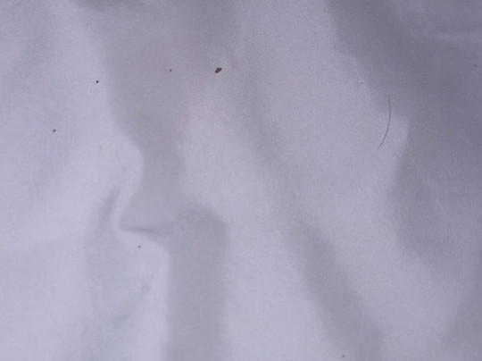 克利夫兰希尔顿恒庭酒店主图