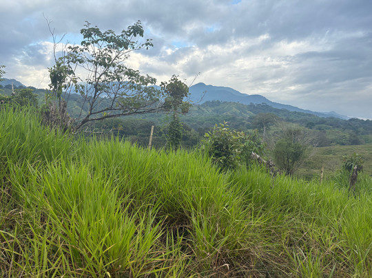 Real Adventure Tours-克波斯必去景点