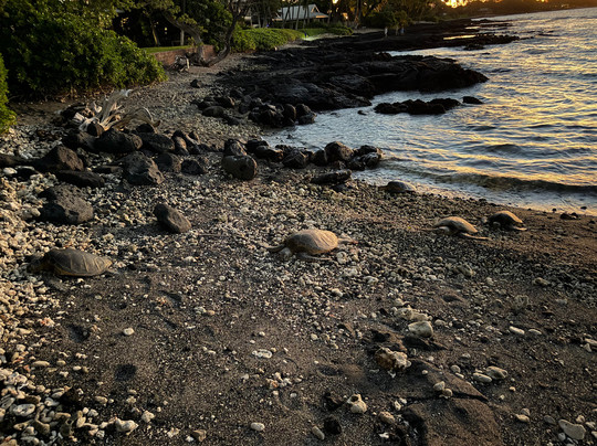 Puako Bay-普阿克必去景点