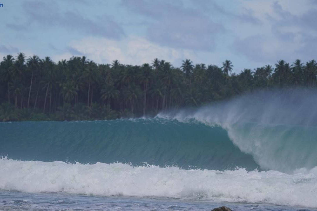 Lilys Nias Surf Camp