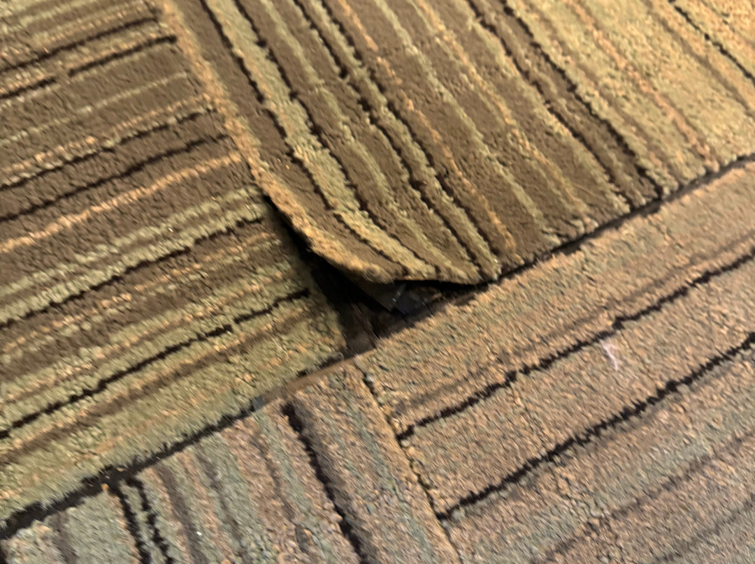 Hampton Inn Bainbridge主图