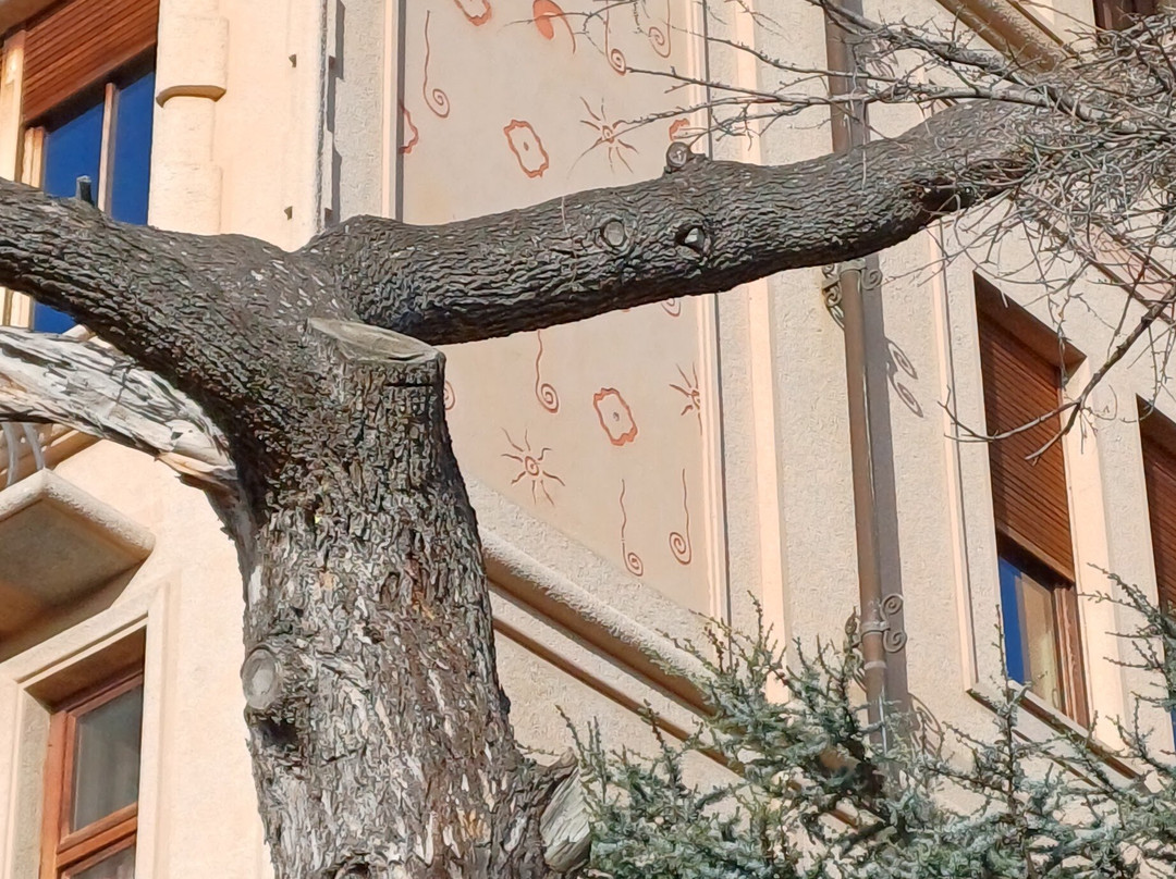 Museo del Clown - Villa Grock-因佩里亚必去景点