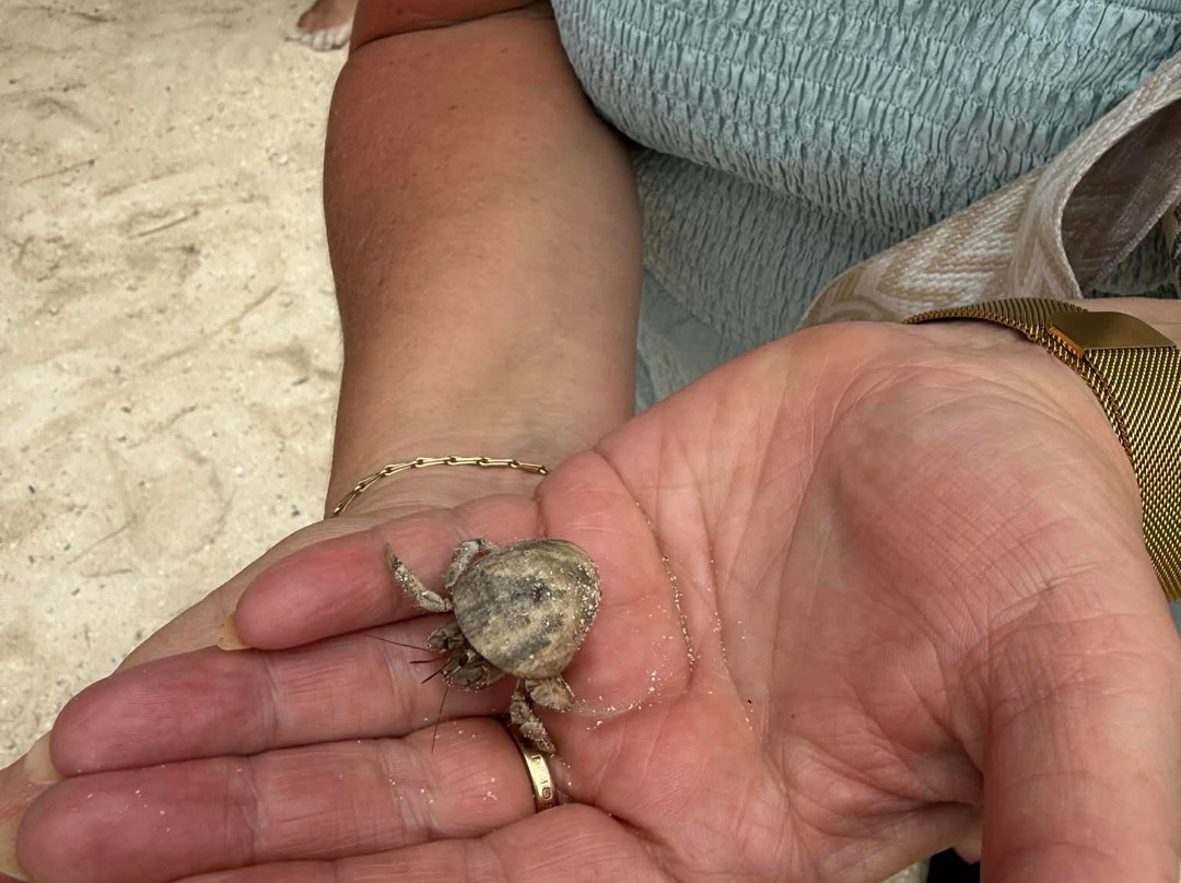 Koka Lagoon Cruises-穆里必去景点