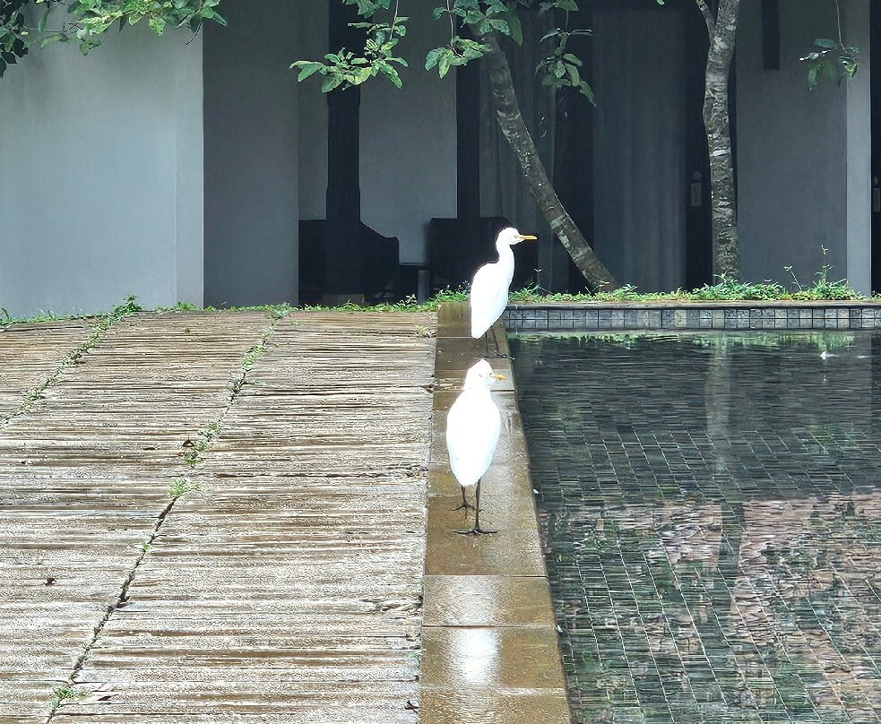 Sigiri Jungle Resort