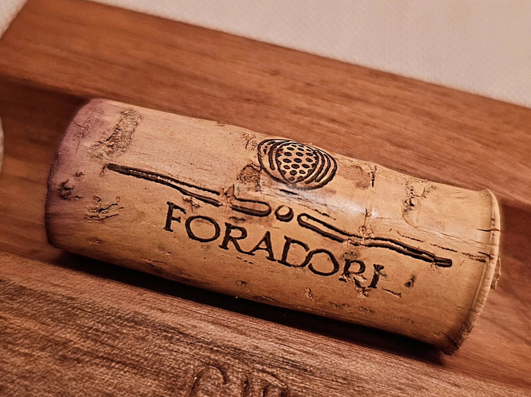 Santre Dolomythic Home主图