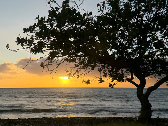 Aloha Sunshine Tours-火奴鲁鲁必去景点