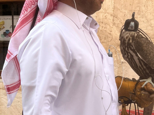 Souq Waqif Falcon Hospital-多哈必去景点