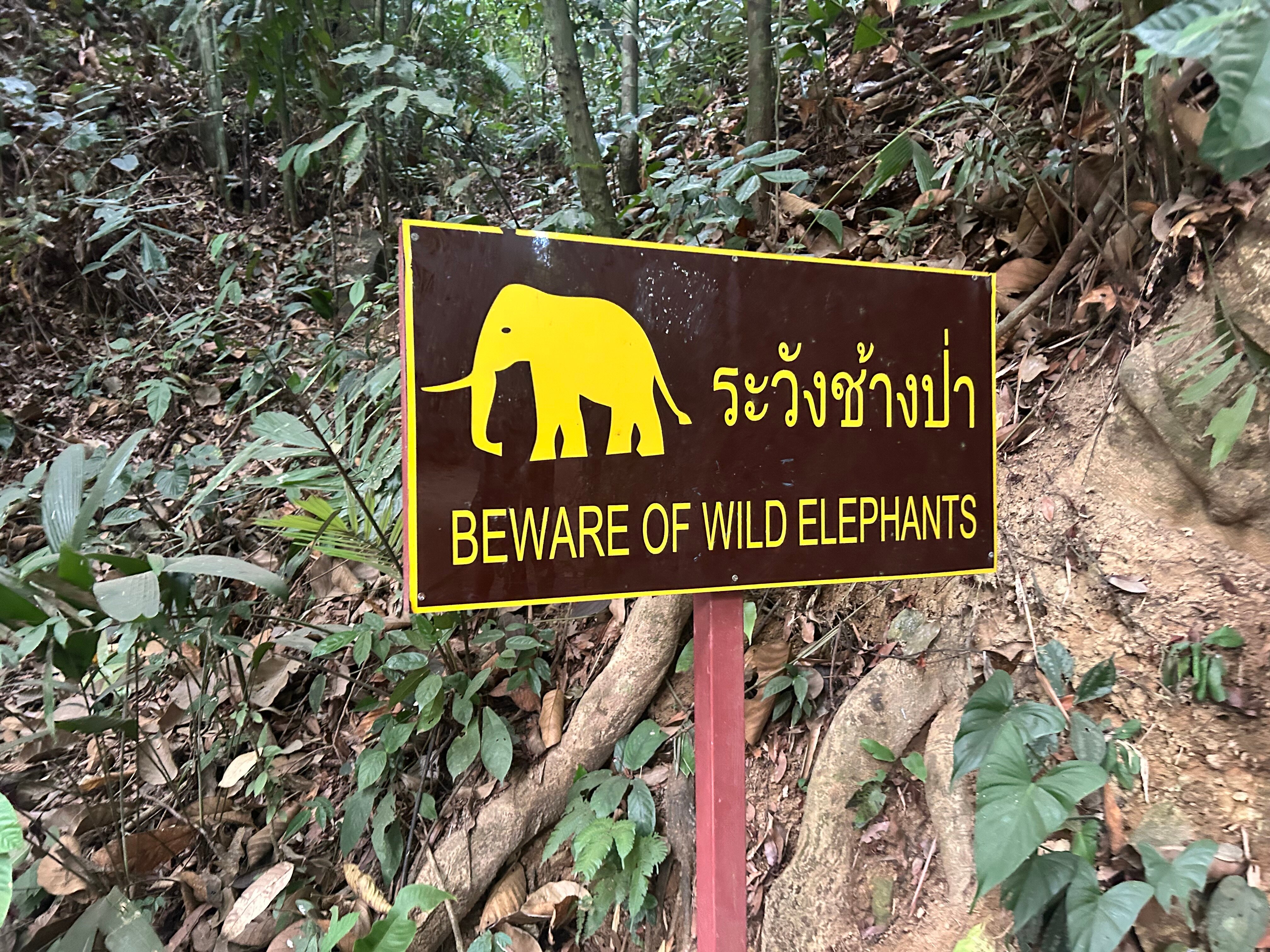 Magical Mountain View Resort-官方