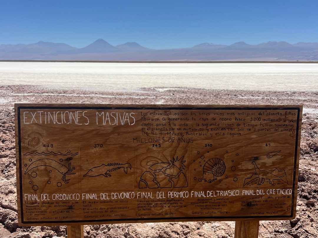 Ojos del Salar-圣佩德罗-德阿塔卡马必去景点