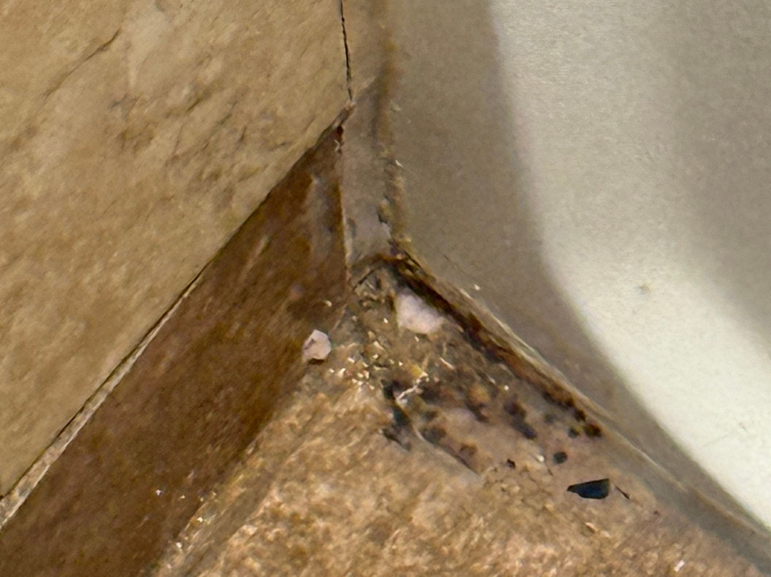 Camelback Mountain Ski Resort-坦纳斯维尔必去景点