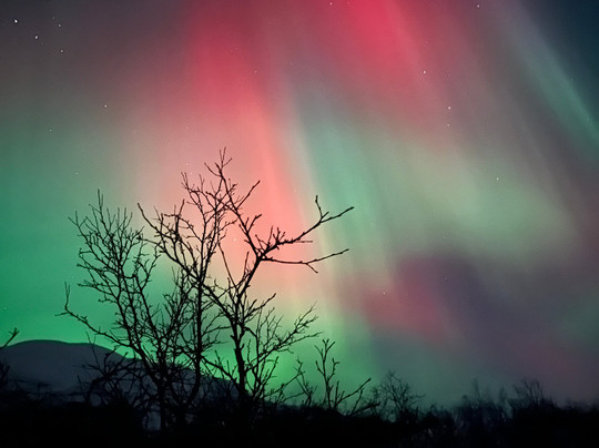 Outback Abisko-阿比斯库必去景点