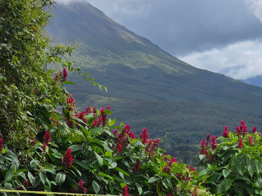 Goolonukos-塔马林多必去景点