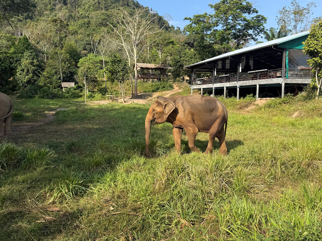 Phuket Elephant Nature Reserve-他朗必去景点