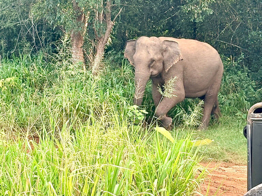 Dan Lanka Tours-科伦坡必去景点