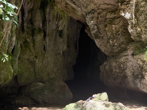 La Fortuna Travels-Muelle必去景点