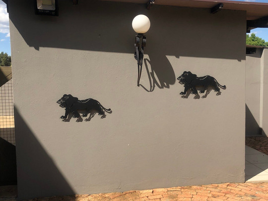 Zanchieta Wildlife Rescue Centre & Lodge-布隆方丹必去景点