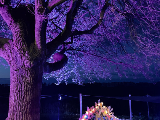 Cherryhill Orchards-Wandin East必去景点