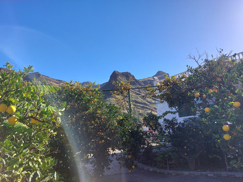 Bodega Los Berrazales-Agaete必去景点