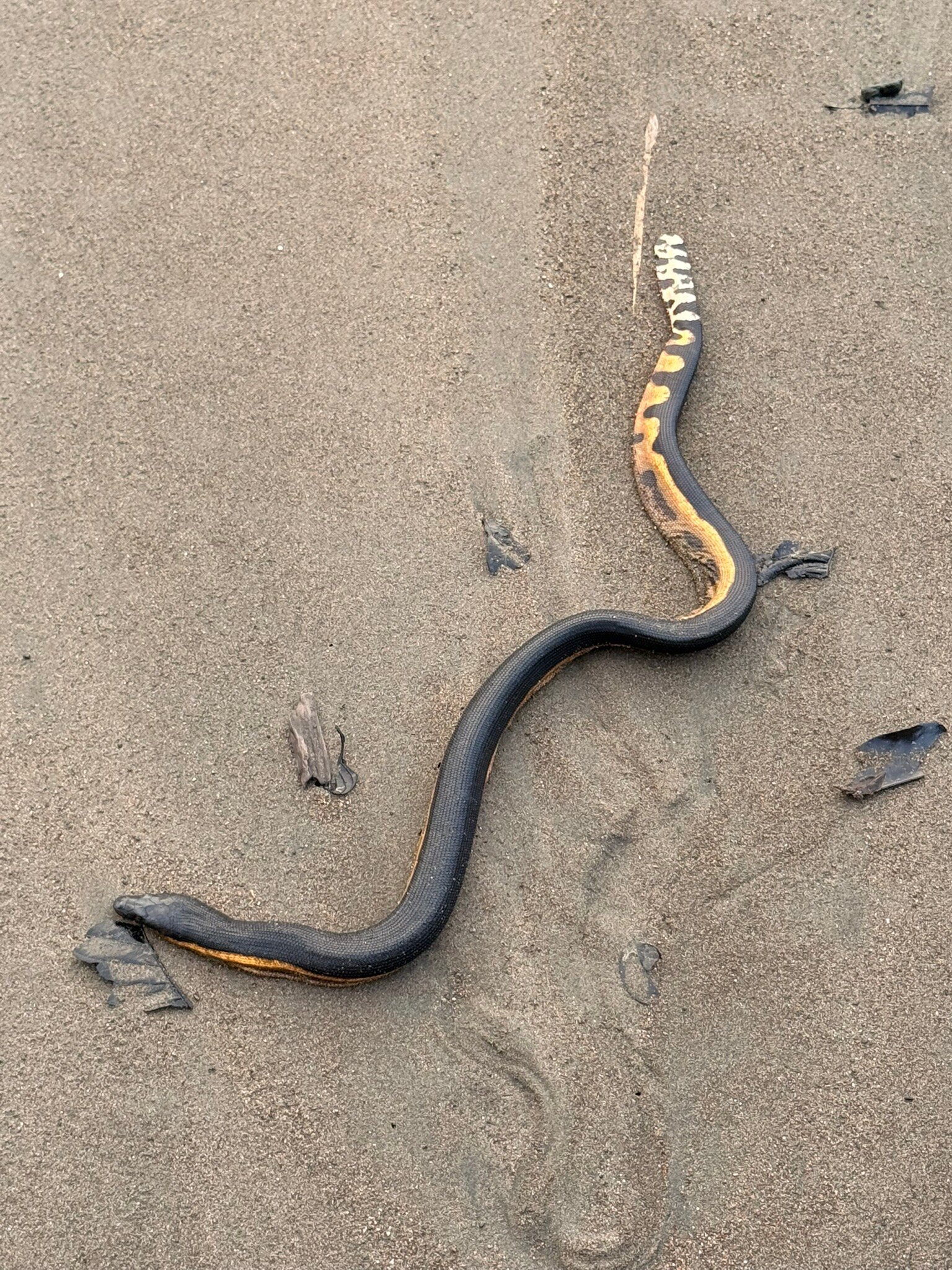 基内特斯德奥萨酒店-官方