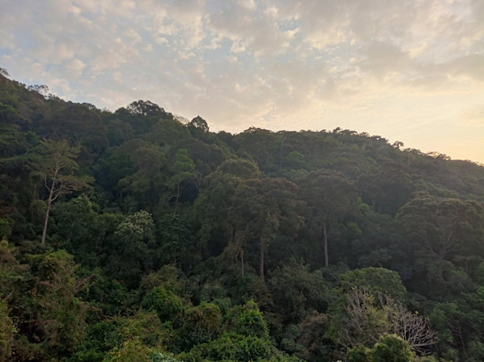 TTC World - Tà Cú-Thi Tran Thuan Nam必去景点