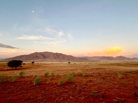 Wolwedans Dune Camp主图