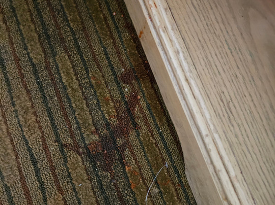 Best Value Inn & Suites主图