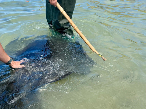 Dive Tatapouri-Gisborne Region必去景点