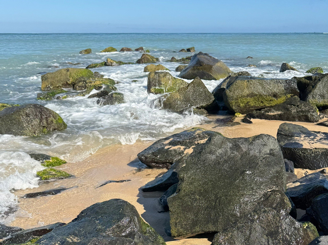 Kanaha Beach Park-卡胡卢伊必去景点