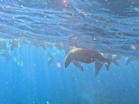 Woebegone Freedive-赫斯基森必去景点