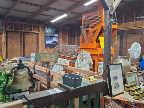 North Shore Macadamia Nut Company-哈雷瓦必去景点