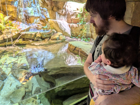 Stratford Butterfly Farm-埃文河畔斯特拉特福必去景点