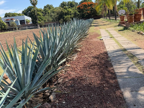 De Koppere Travel PV-瓦拉塔港必去景点