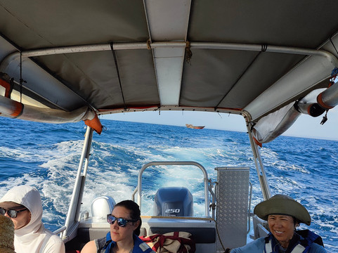 Kasa Diving - Diving Maziwe Marine Reserve-Pangani必去景点
