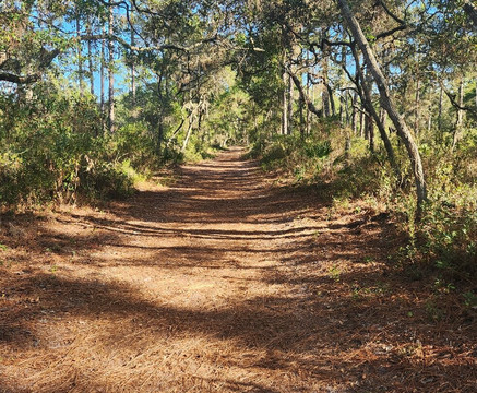 Crooked River State Park-St. Marys必去景点