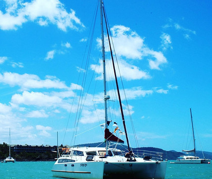 Palm View Holiday Apartments主图