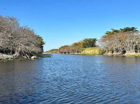 Banana Joe Tours-迈阿密必去景点