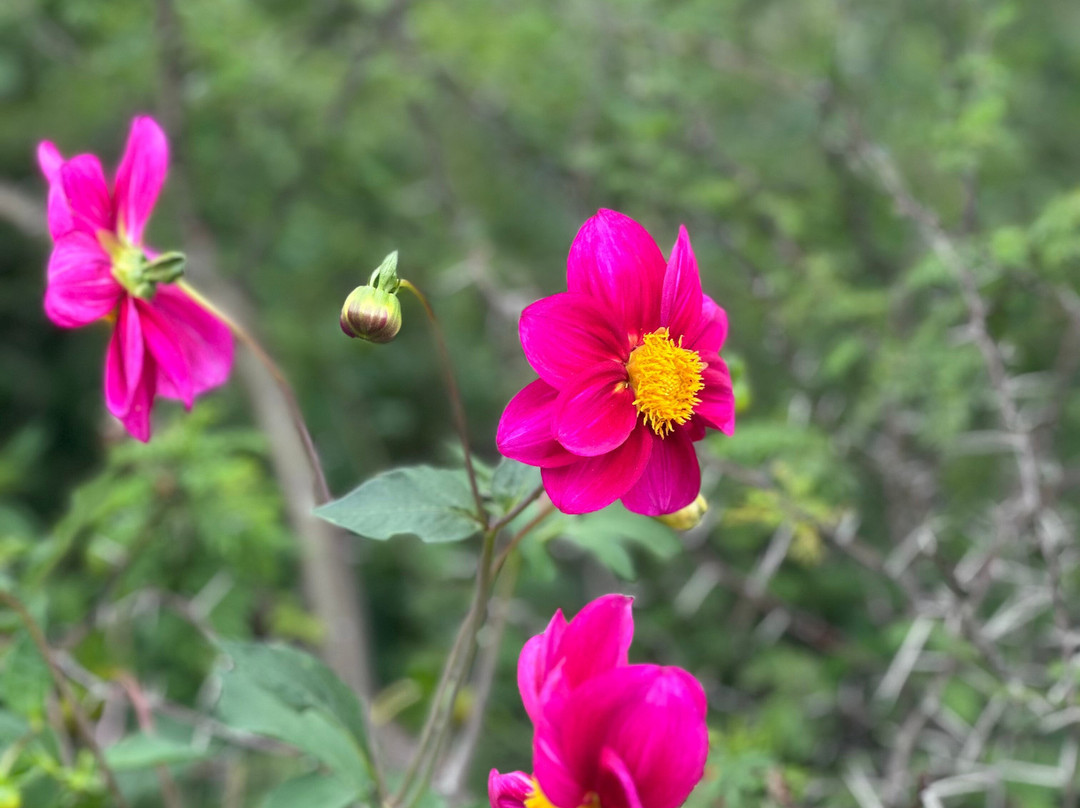 Las Juntas-San Fernando del Valle de Catamarca必去景点